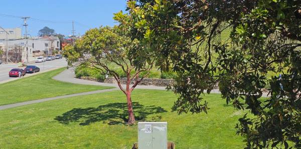 Remodeled Central Sunset 2BR Single-Family House Craigslist photo 3