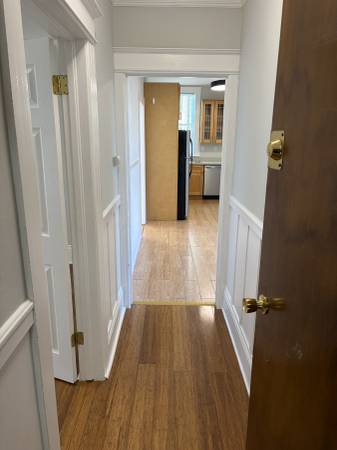 Sunny and Bright Flat at 983 Hampshire Craigslist photo 5
