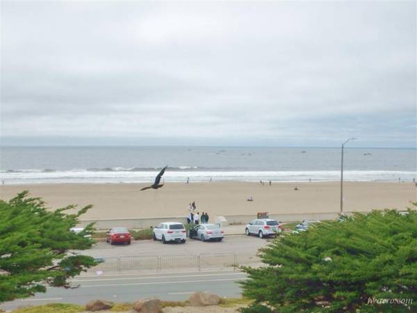 Ocean View Home near Great Highway / Balboa Craigslist photo 29