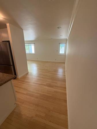 Renovated Pacific Heights 1BR Condo near Lafayette Park Craigslist photo 4