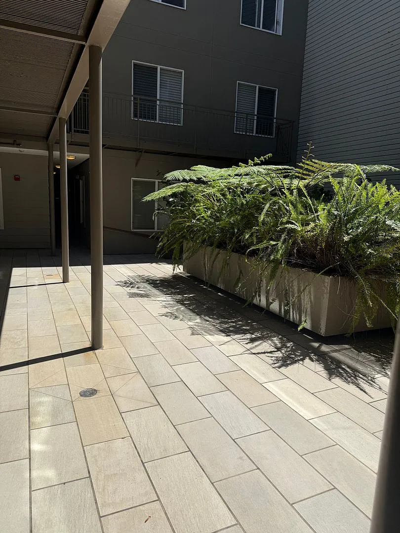 4th image of 566 S Van Ness Ave APT 2